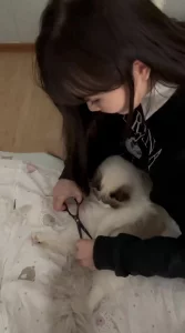 为了撸猫羊入虎口被大鸡巴插爽了