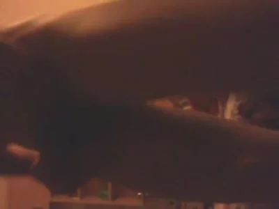 前所未有的子宫快感精彩在后头